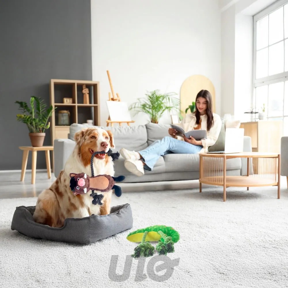 Hračka pre psa Chameleon – Love Story