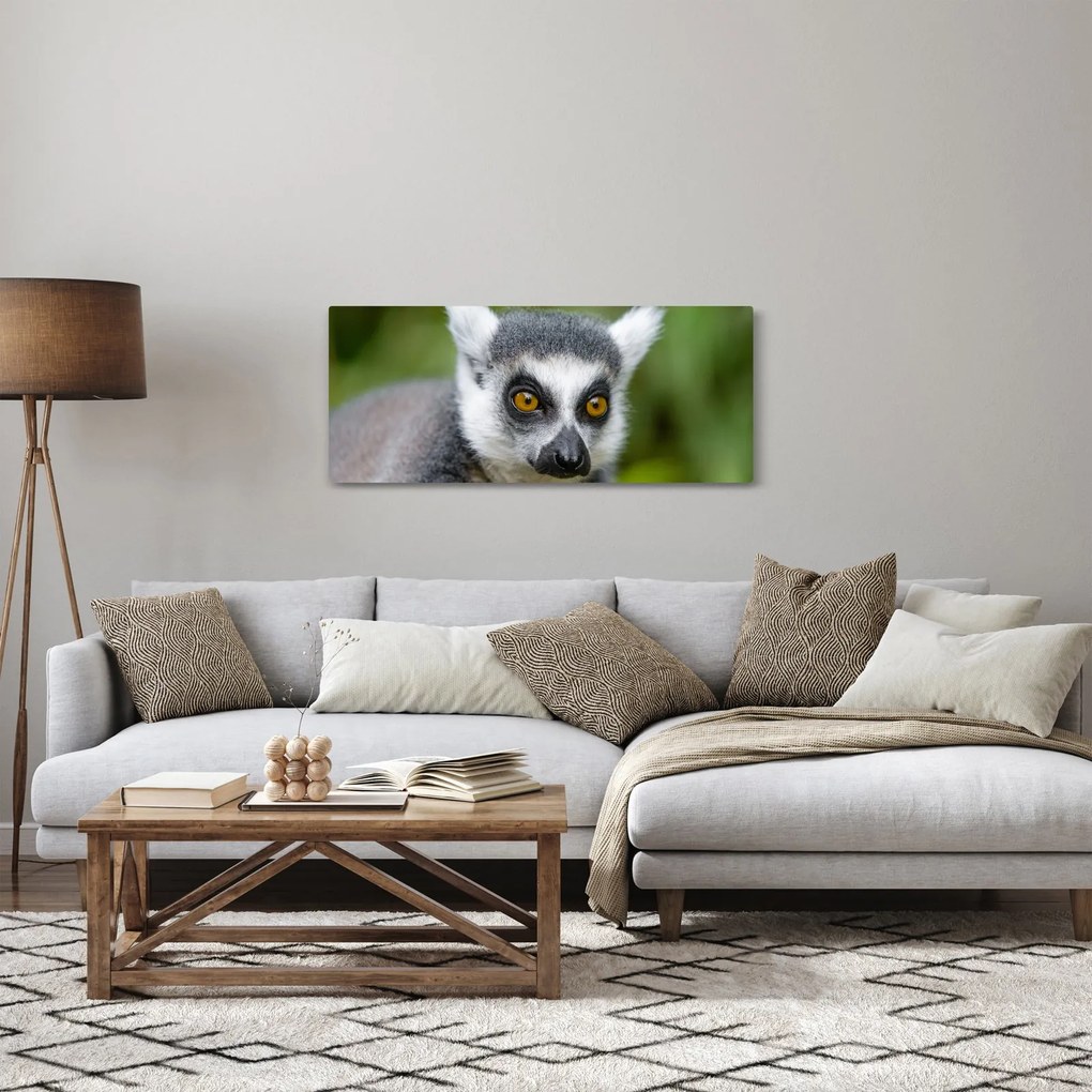 Obraz lemura (120x50 cm)