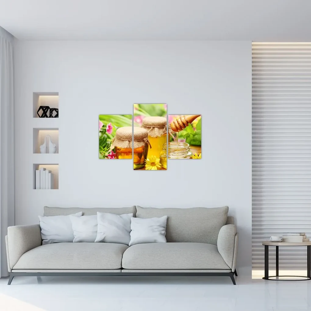 Obraz medu (90x60 cm)