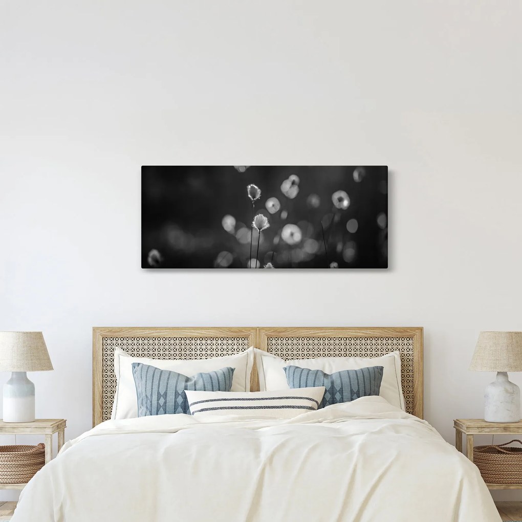 Obraz - Cottongrass na lúke (120x50 cm)