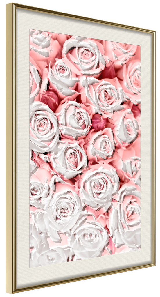 Artgeist Plagát - White Roses [Poster] Veľkosť: 30x45, Verzia: Čierny rám s passe-partout