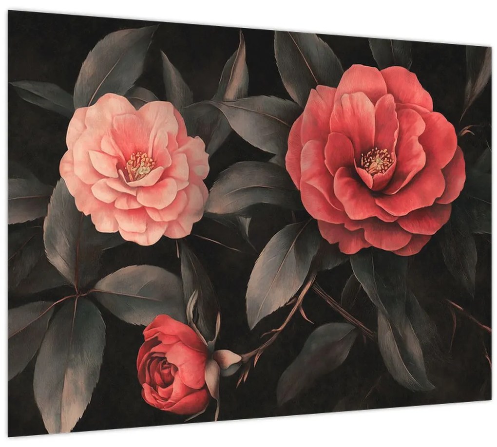 Obraz - Červené kvety na tmavom pozadí (70x50 cm)