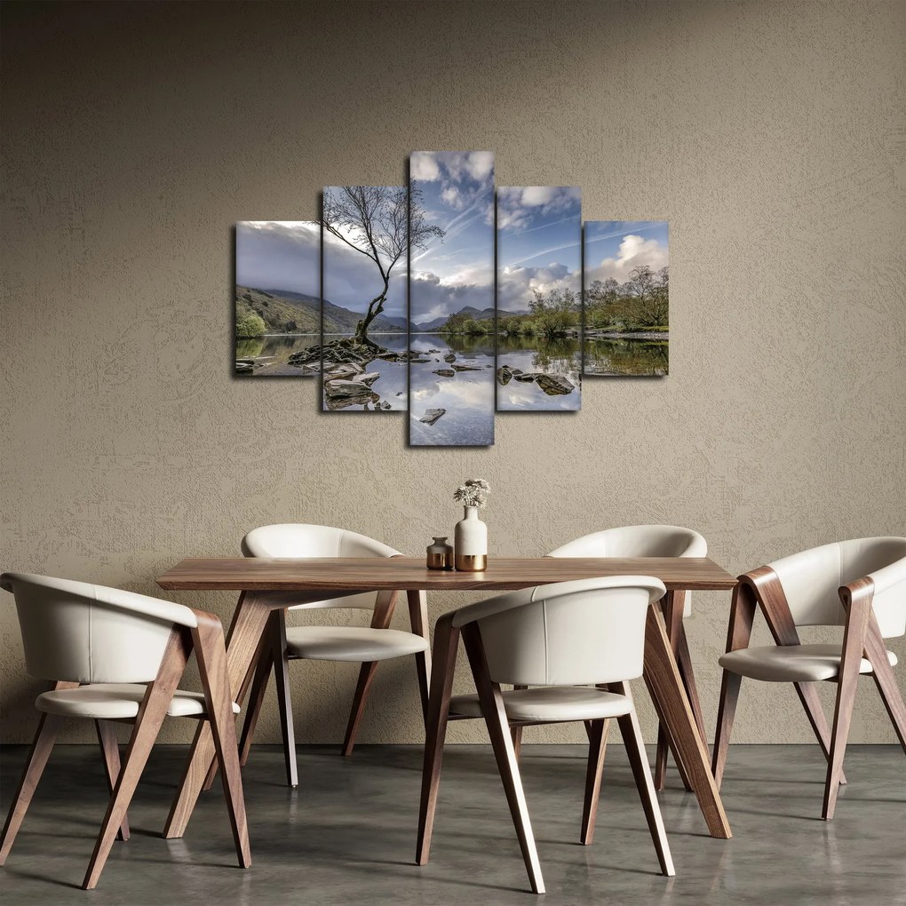 Obraz rieky za stromom (150x105 cm)
