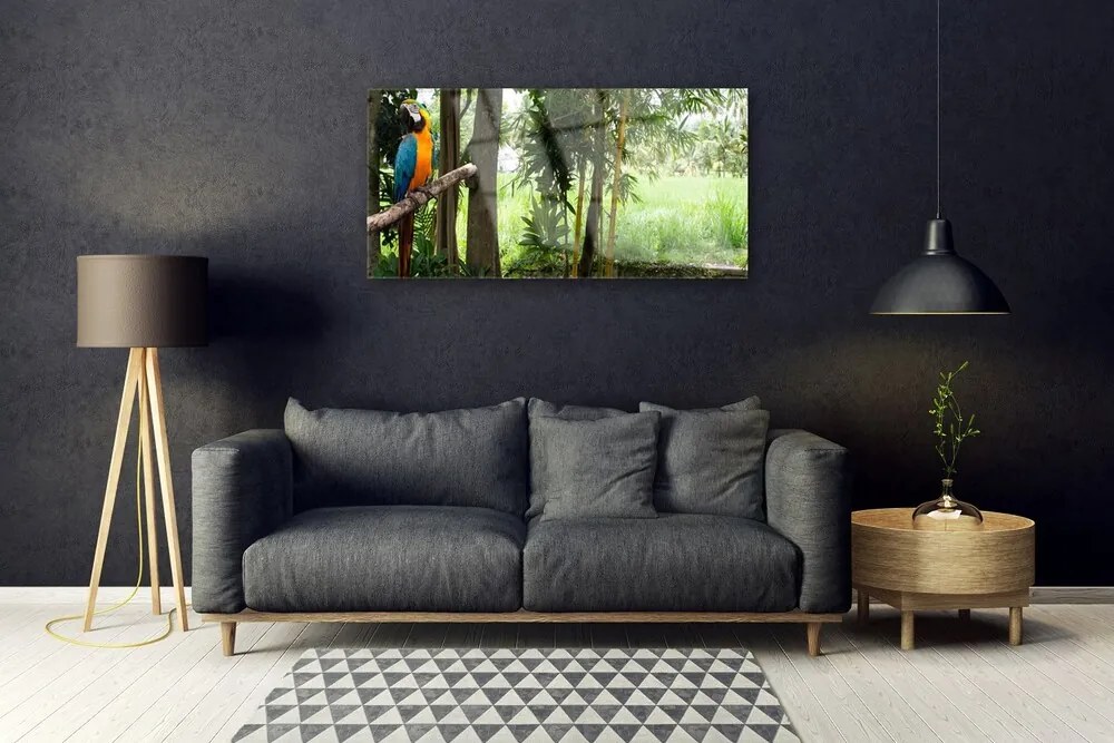 Obraz plexi Papagáj stromy príroda 100x50 cm