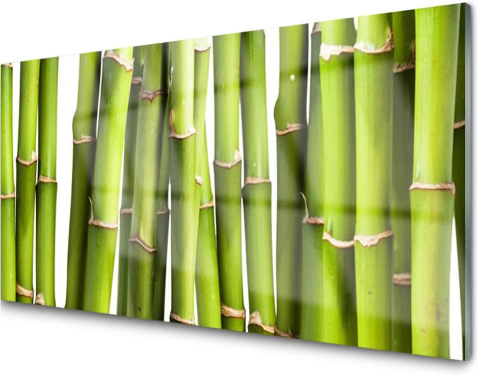 Sklenený obklad Do kuchyne Bambus Rastlina Príroda