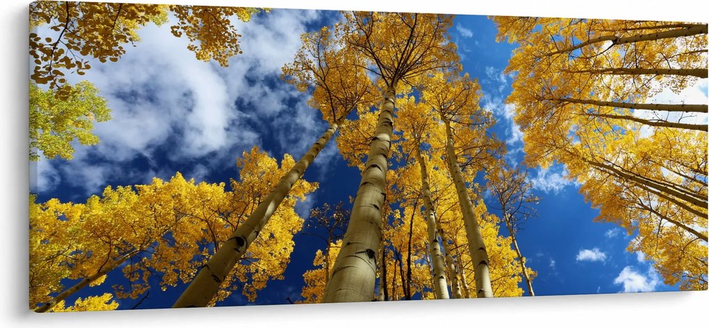 Obraz - Aspen (120x50 cm)