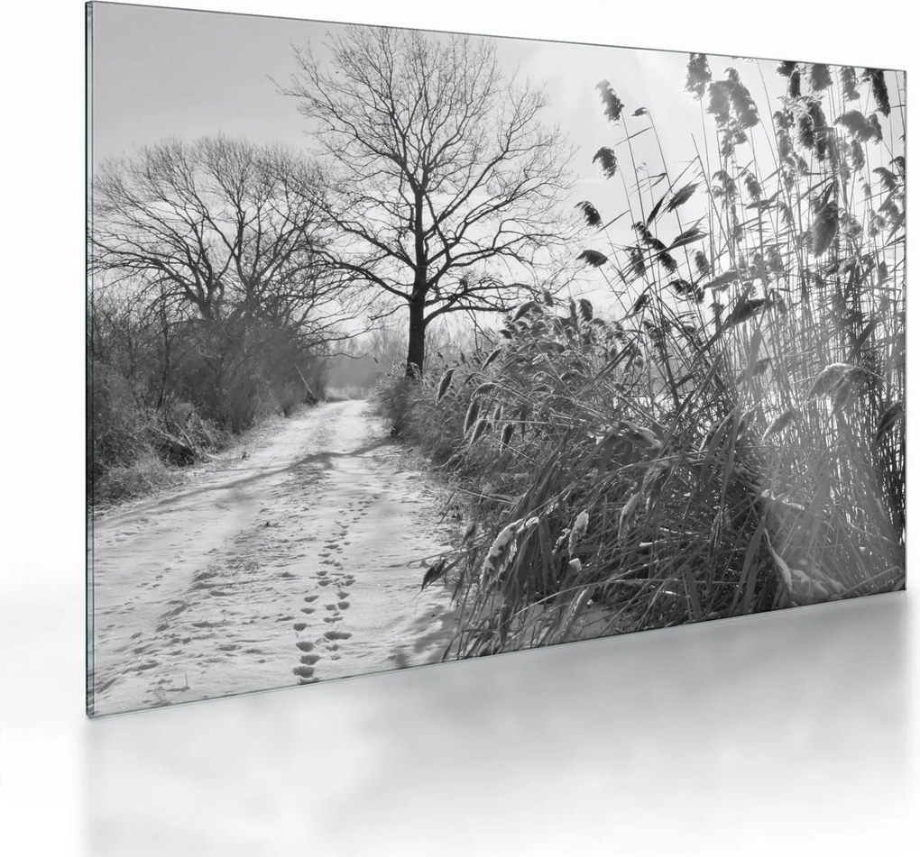 Sklenený obraz - Pole v zime (70x50 cm)