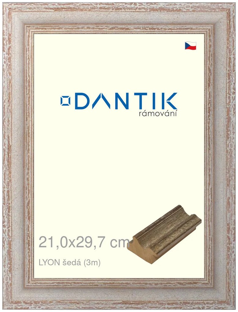 DANTIK rám na obraz 21x29,7 | LYON šedá (Sklo Čiré)