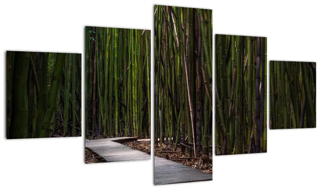 Obraz - Medzi bambusy (125x70 cm), 40 ďalších rozmerov