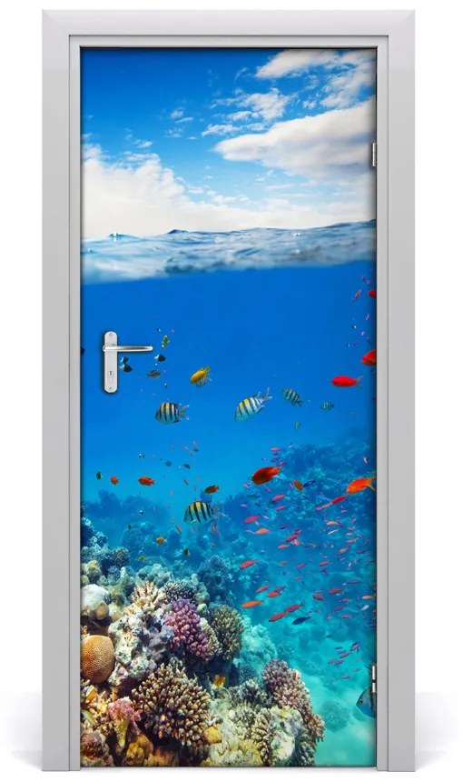 Fototapeta na dvere koralový útes 75x205 cm