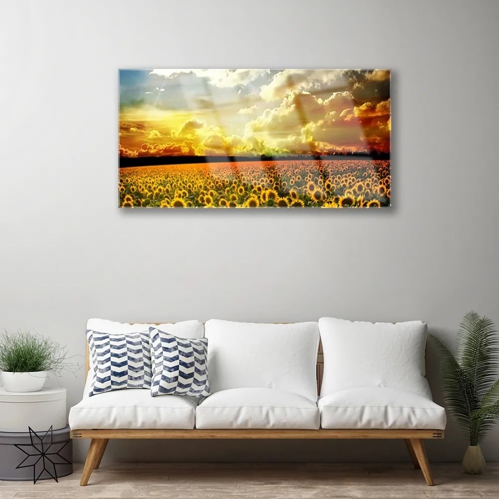 Skleneny obraz Pole slnečníc krajina 120x60 cm