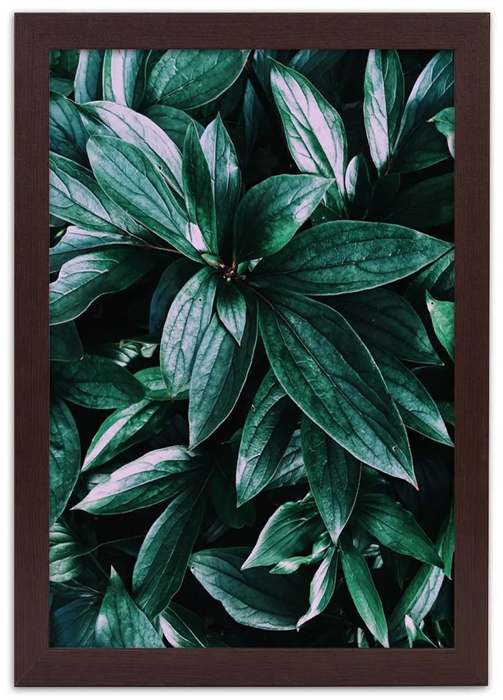 Gario Plagát Fascinujúce listy Farba rámu: Bez rámu, Rozmery: 30 x 45 cm