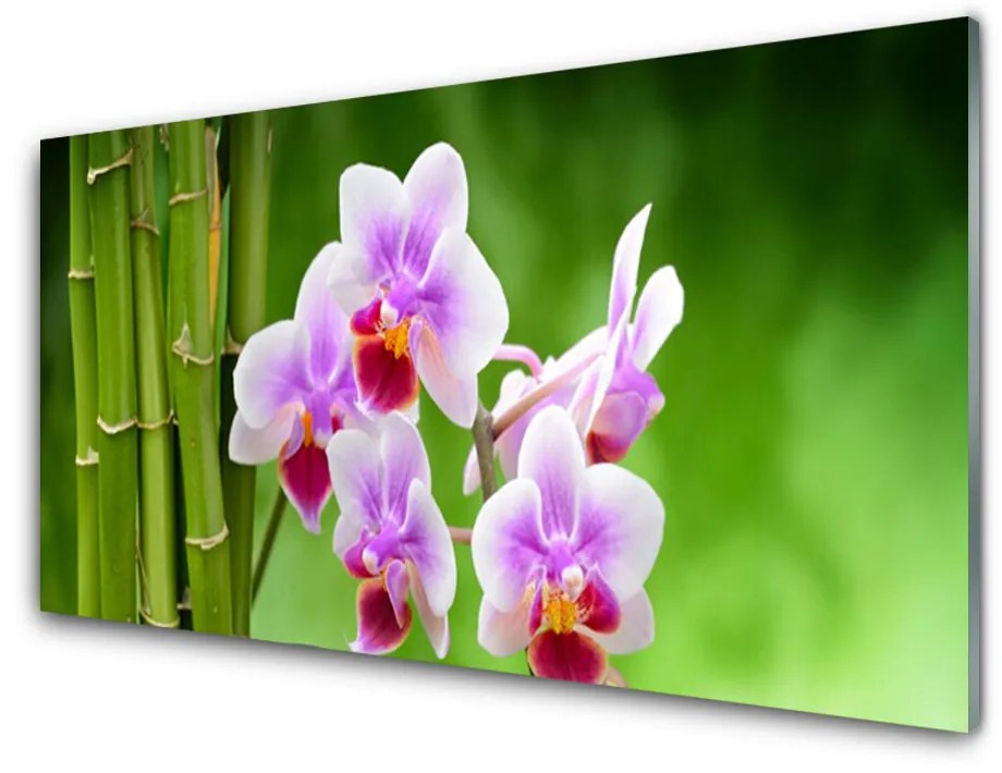 Skleneny obraz Bambus orchidea kvety zen 100x50 cm