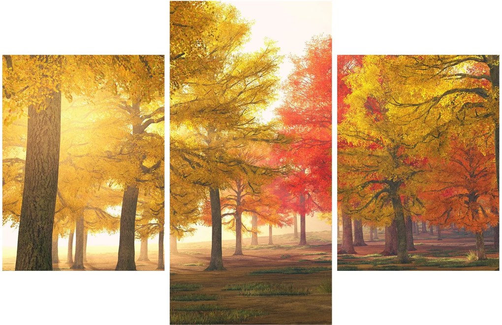 Obraz jesenných stromov (90x60 cm)