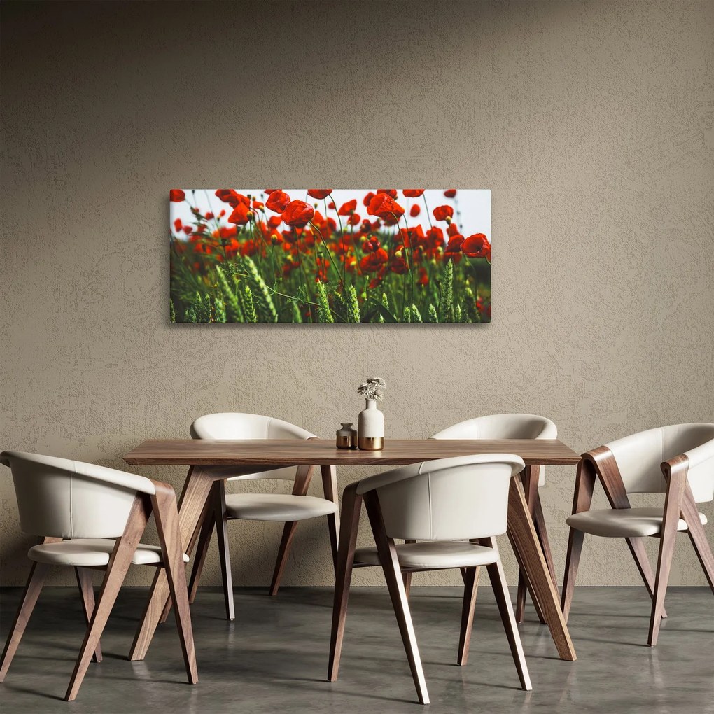 Obraz vlčích makov vo vetre (120x50 cm)