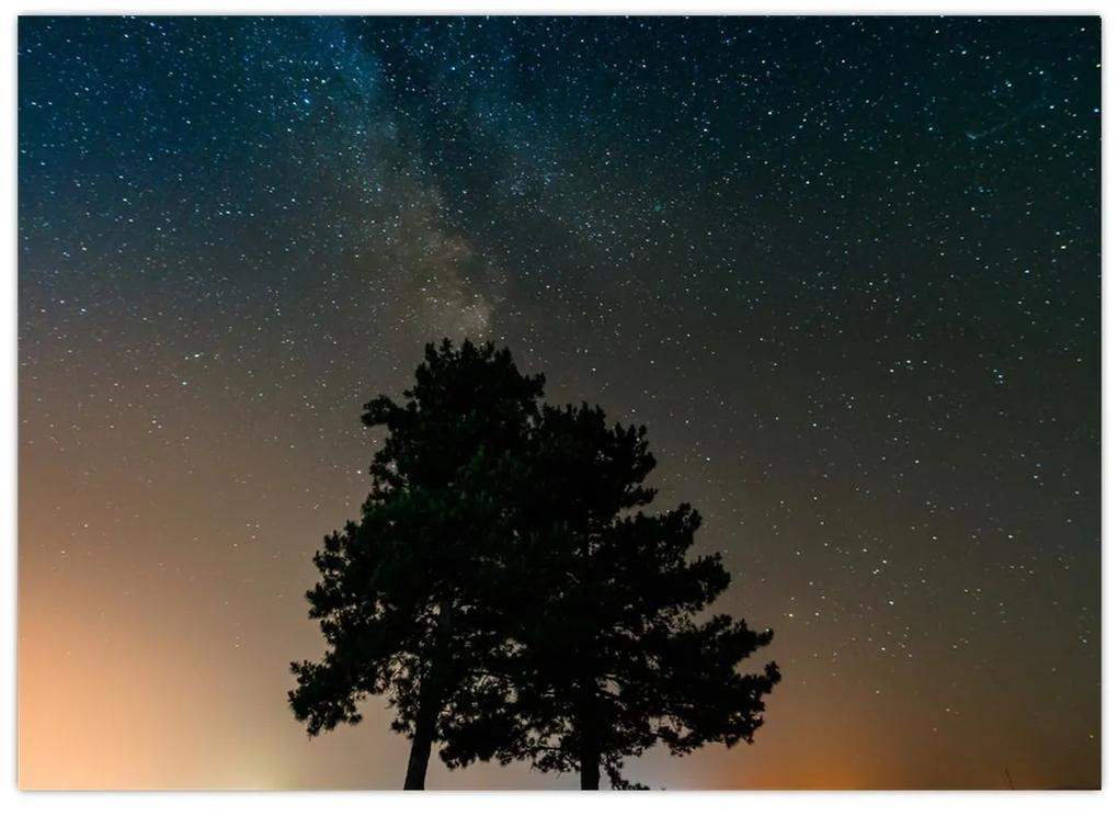 Sklenený obraz nočnej oblohy so stromami (70x50 cm)