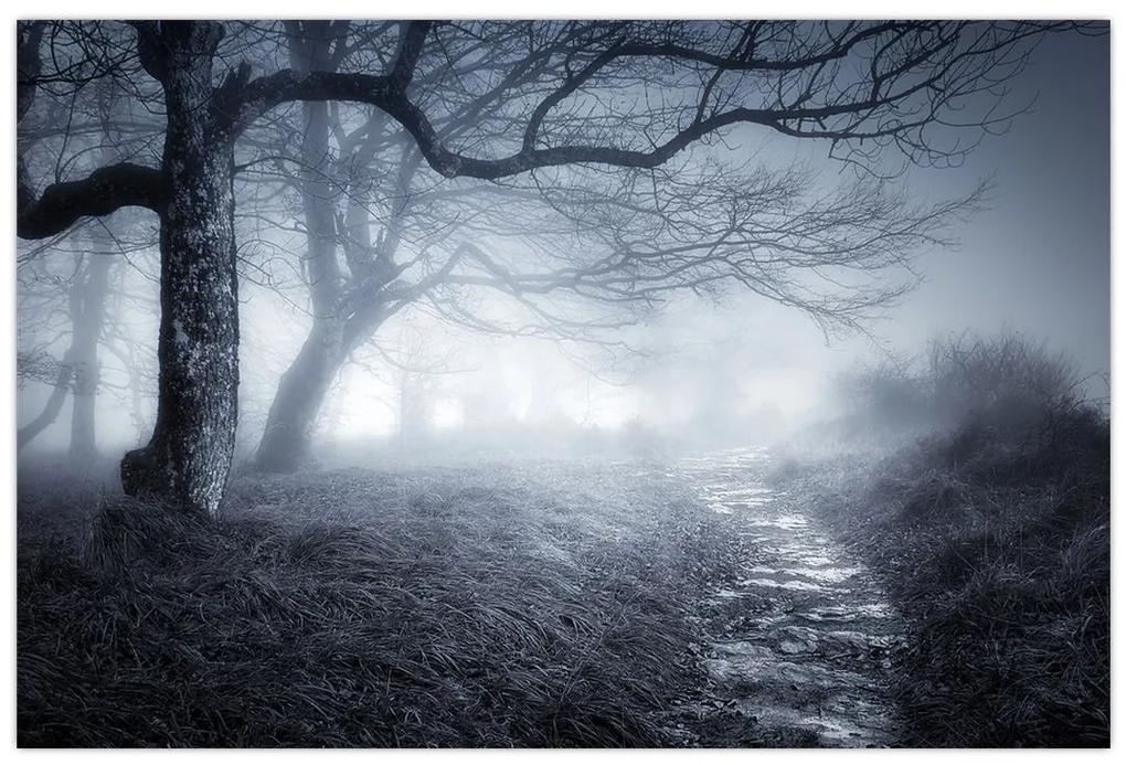 Obraz - Cesta v hmle (90x60 cm)