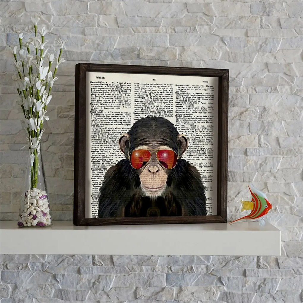 Nástenný obraz Monkey 34x34 cm I