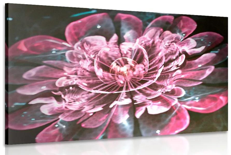 Obraz magický ružový kvet Varianta: 120x80