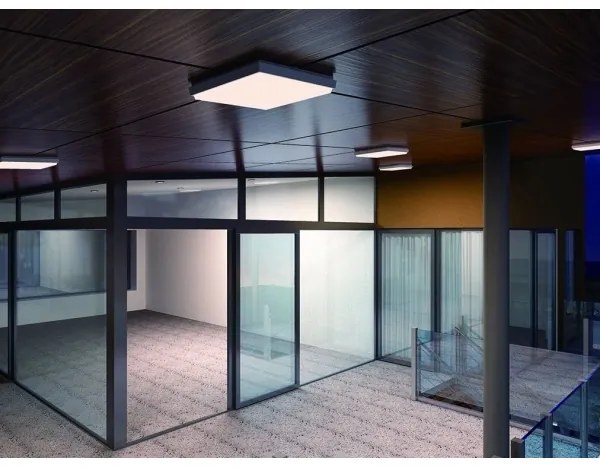 LED2 - LED Vonkajšie stropné svietidlo QUADO LED/10W/230V antracit IP54