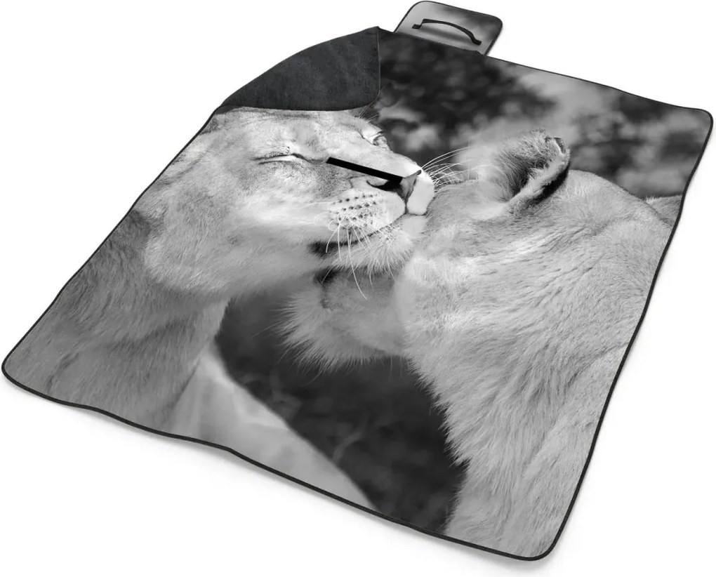 Sablio Plážová deka Levica: 200x140 cm