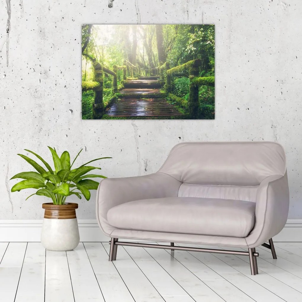 Sklenený obraz - drevené schody v lese (70x50 cm)