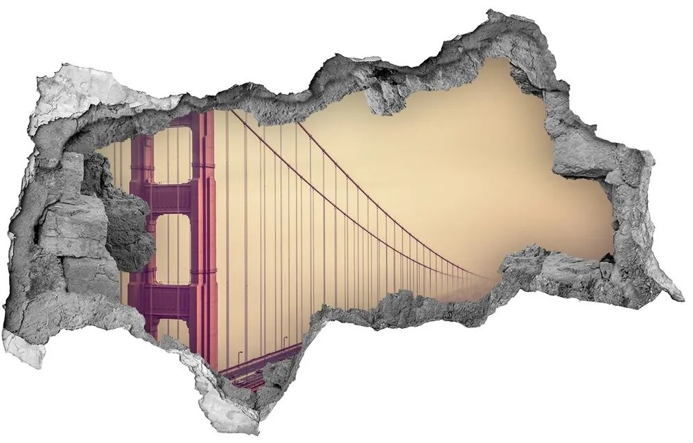 Fototapeta diera na stenu 3D Bridge v san franciscu nd-b-85695619