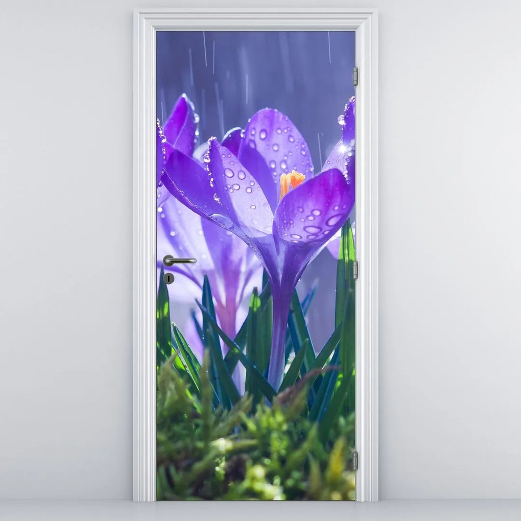 Fototapeta na dvere - Kvety v daždi (95x205cm)