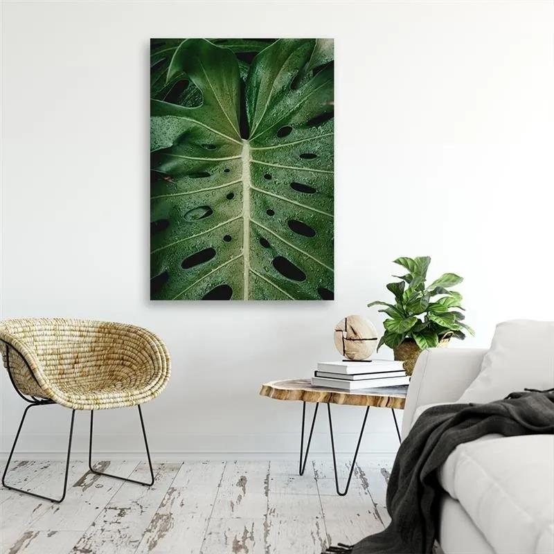 Gario Obraz na plátne Tropické monstery Rozmery: 40 x 60 cm