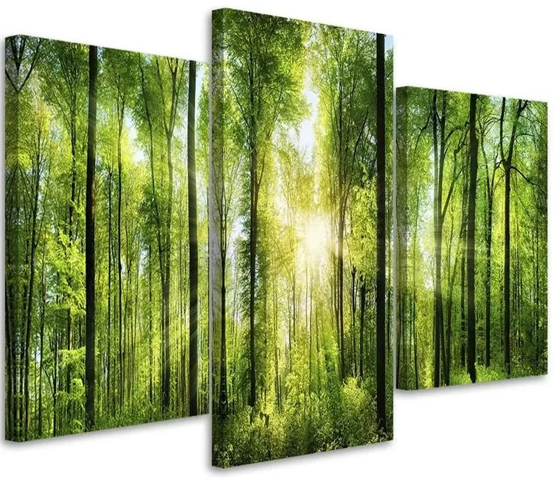 Gario Obraz na plátne Slnečné lúče v zelenom lese - 3 dielny Rozmery: 120 x 80 cm