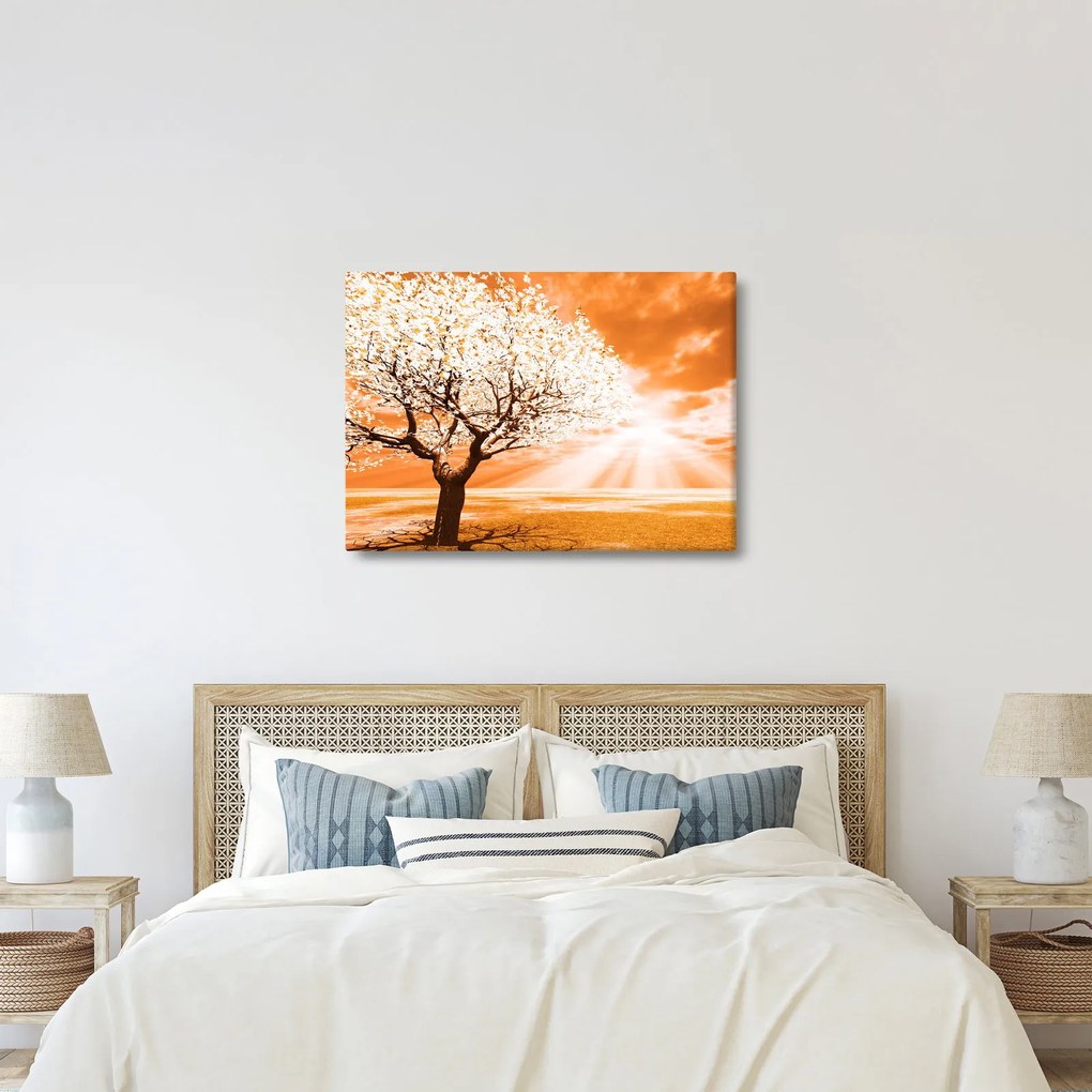Oranžový obraz stromu (70x50 cm)