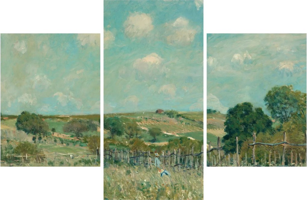 Obraz - Alfred Sisley, Meadow, reprodukcia (90x60 cm)