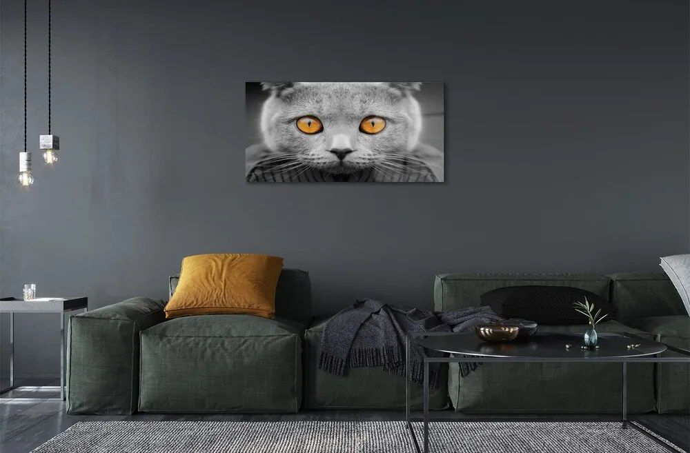Sklenený obraz Sivá Britská mačka 125x50 cm