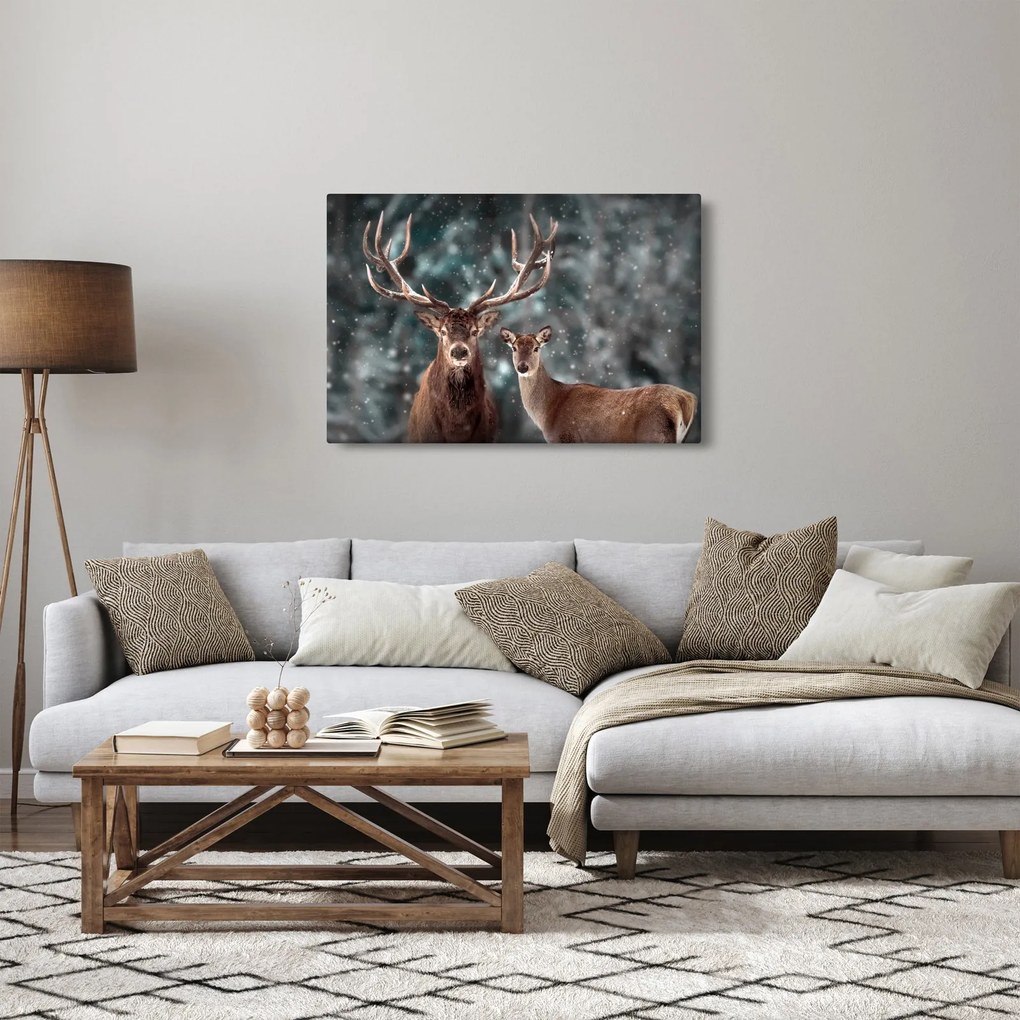 Obraz - Jeleň a laň v zasneženom lese (90x60 cm)