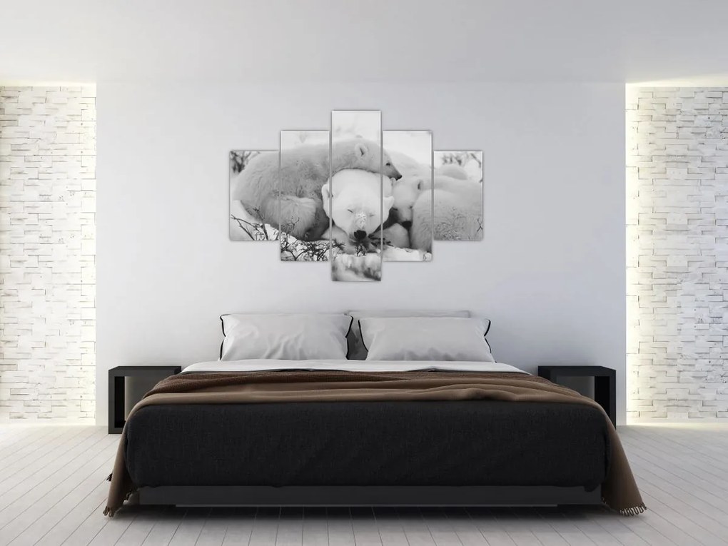 Obraz - Ľadové medvede (150x105 cm)