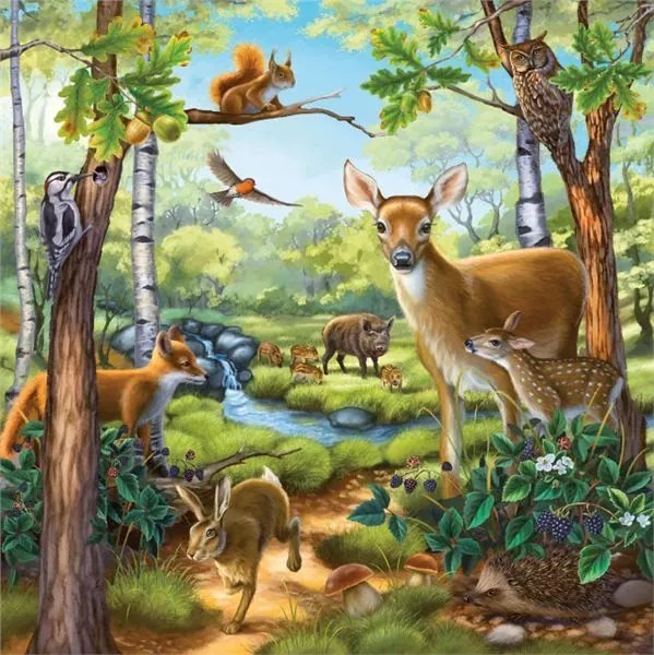 Ravensburger Puzzle Domáce zvieratá 3 x 49 dielikov