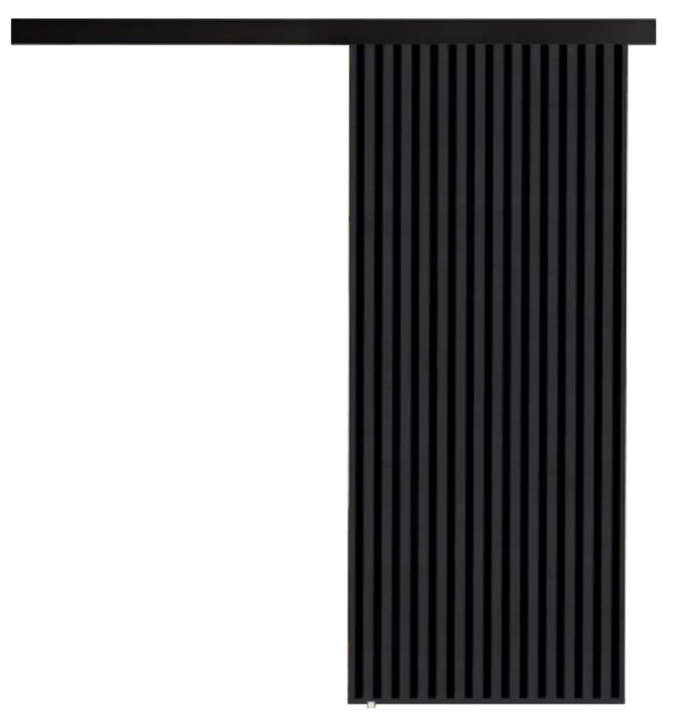 Interiérové posuvné dvere Boxdis 80, Farba:: Dub craft zlatý/Čierna
