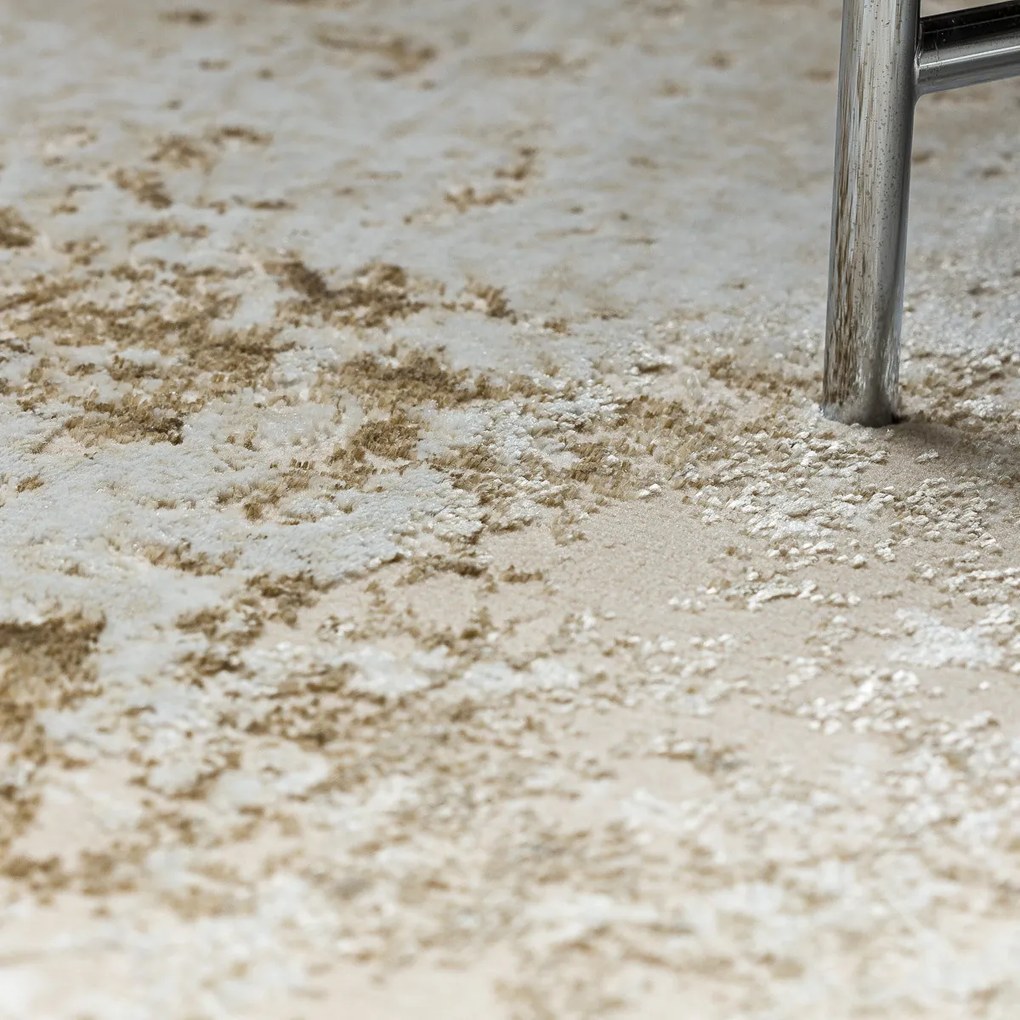 Kusový koberec Allure 1959 cream/beige, 80x150, béžová, kancelária, Dywany Łuszczów