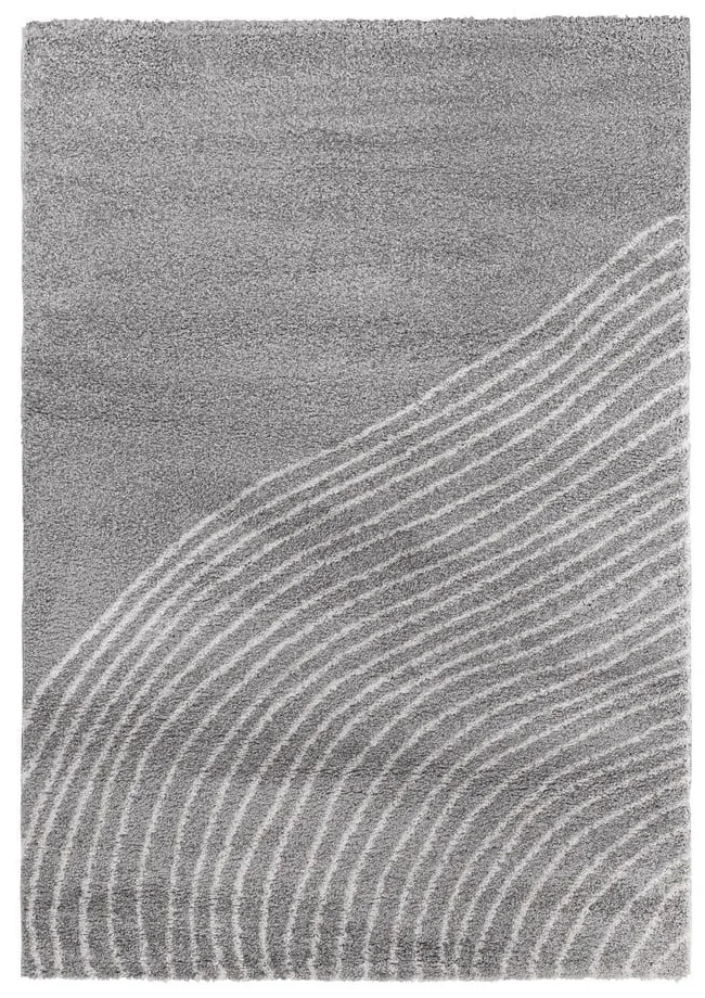 Sivý koberec 160x230 cm Coastalina – Bonami Selection