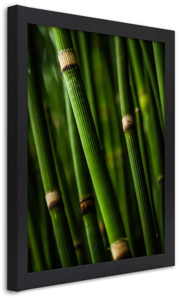 Gario Plagát Bambusový les Farba rámu: Bez rámu, Rozmery: 40 x 60 cm