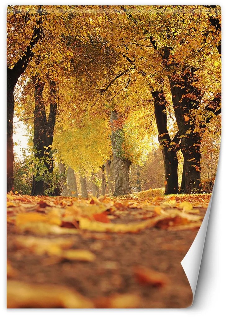 Gario Fototapeta Zlatý lak jeseň Materiál: Vliesová, Rozmery: 200 x 280 cm