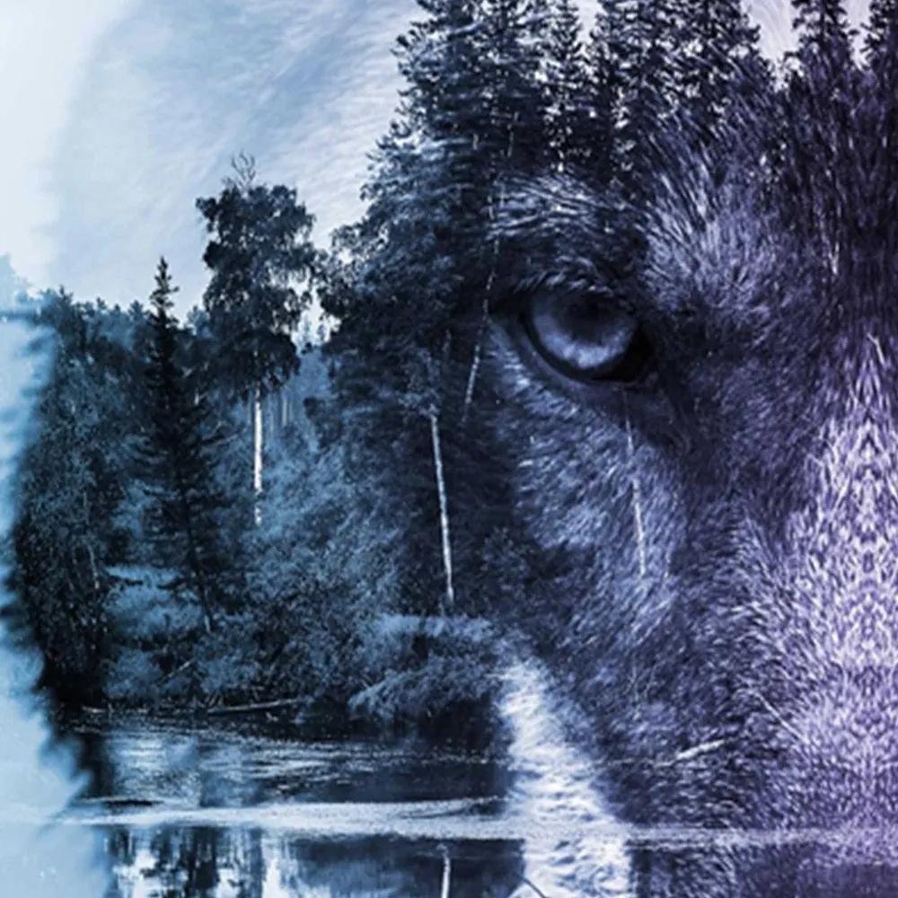 Ozdobný paraván Lesní vlk Zvířata Příroda - 110x170 cm, trojdielny, obojstranný paraván 360°
