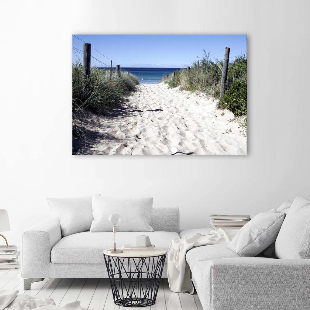 Gario Obraz na plátne Cesta cez duny Rozmery: 60 x 40 cm