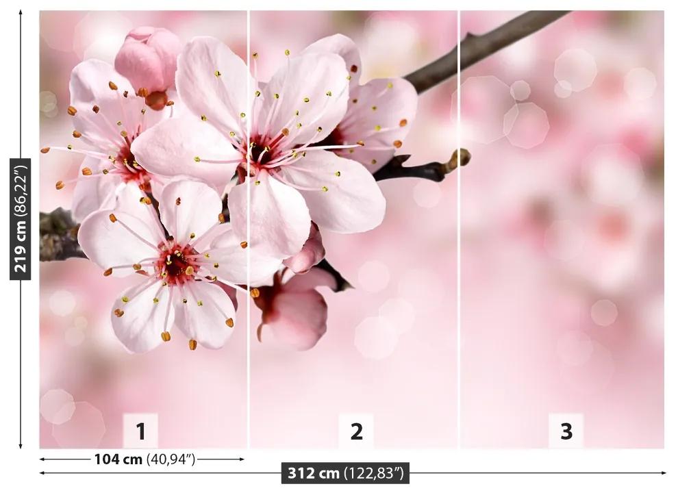 Fototapeta Vliesová Ružový kvet 208x146 cm