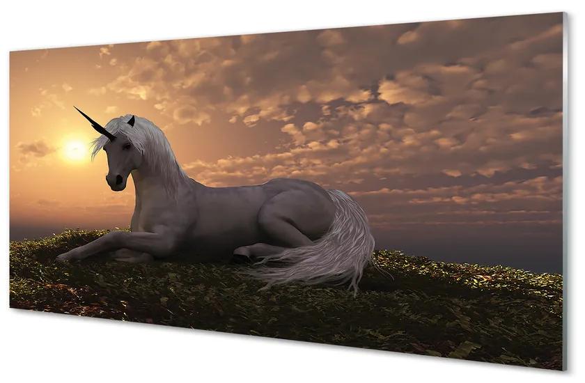 Obraz na akrylátovom skle Unicorn horské slnko 140x70 cm