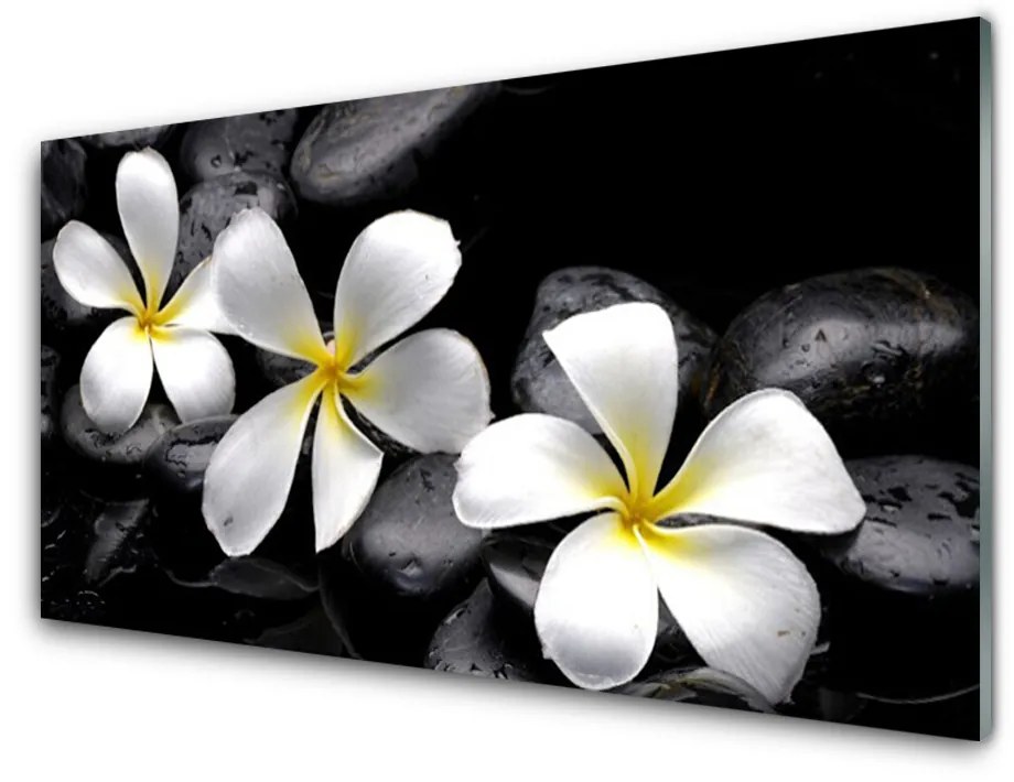 Obraz na akrylátovom skle Kvet kamene rastlina 140x70cm