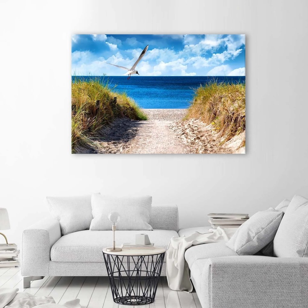 Gario Obraz na plátne Cesta na pláž a čajka Rozmery: 120 x 80 cm
