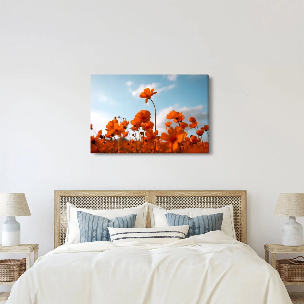 Obraz - Lúčne kvety (90x60 cm)