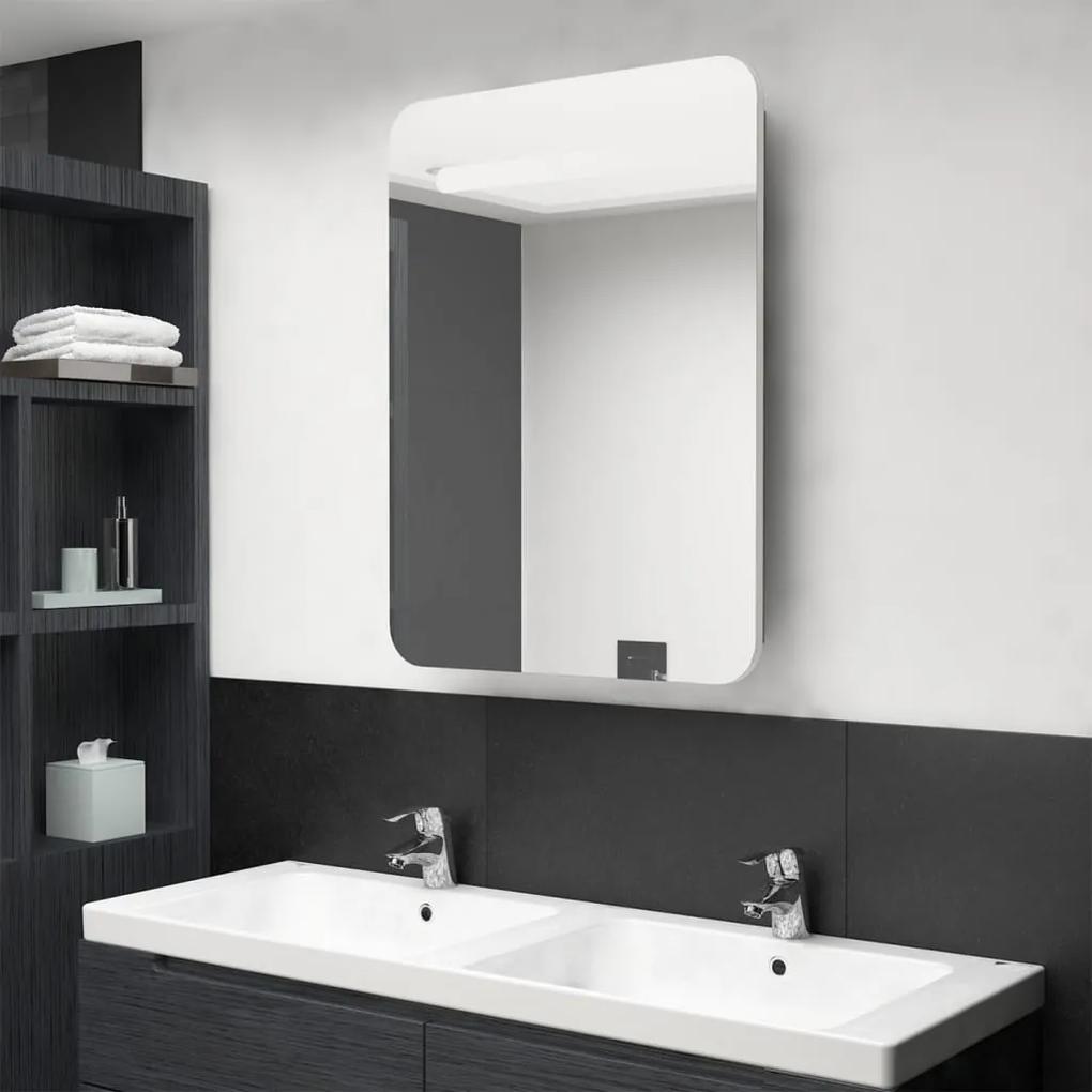 LED kúpeľňová zrkadlová skrinka biela a farba dubu 60x11x80 cm 326508
