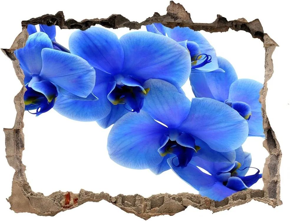 Samolepící díra nálepka Modrá orchidej WallHole-95x64-kamien-91549599